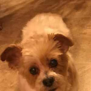 Meet your Posher, Barbara